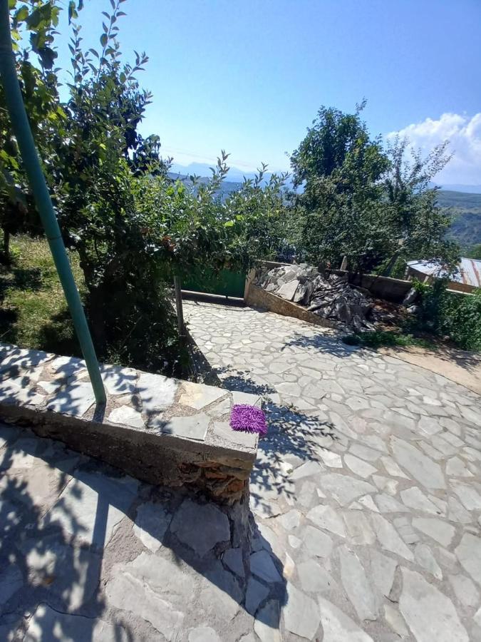 Vila Dervish Cela - Moker Pogradec