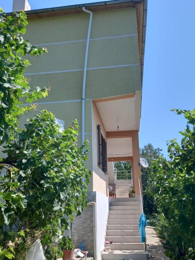 Villa Vila Dervish Cela - Moker *