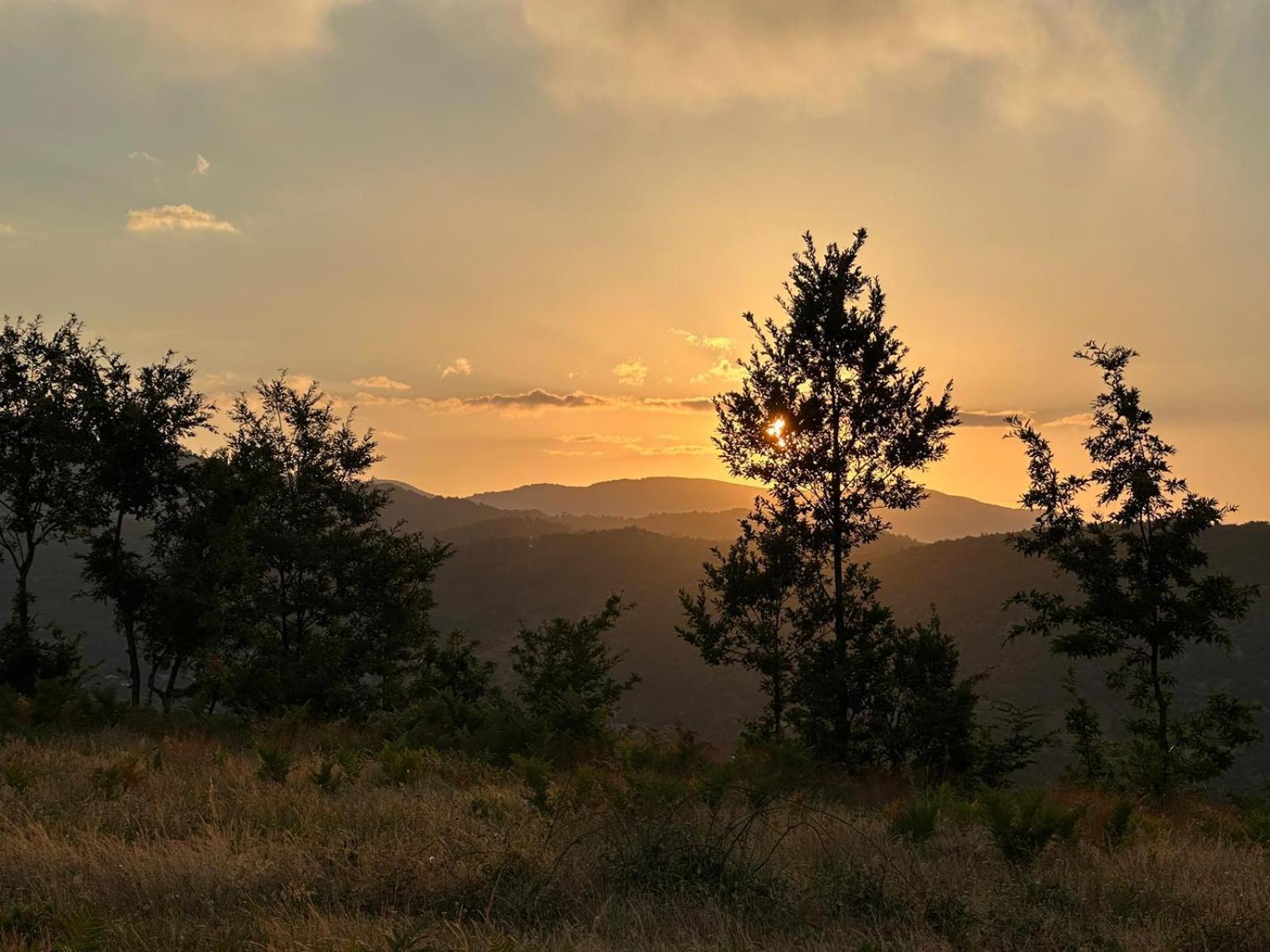 Vila Dervish Cela - Moker Pogradec