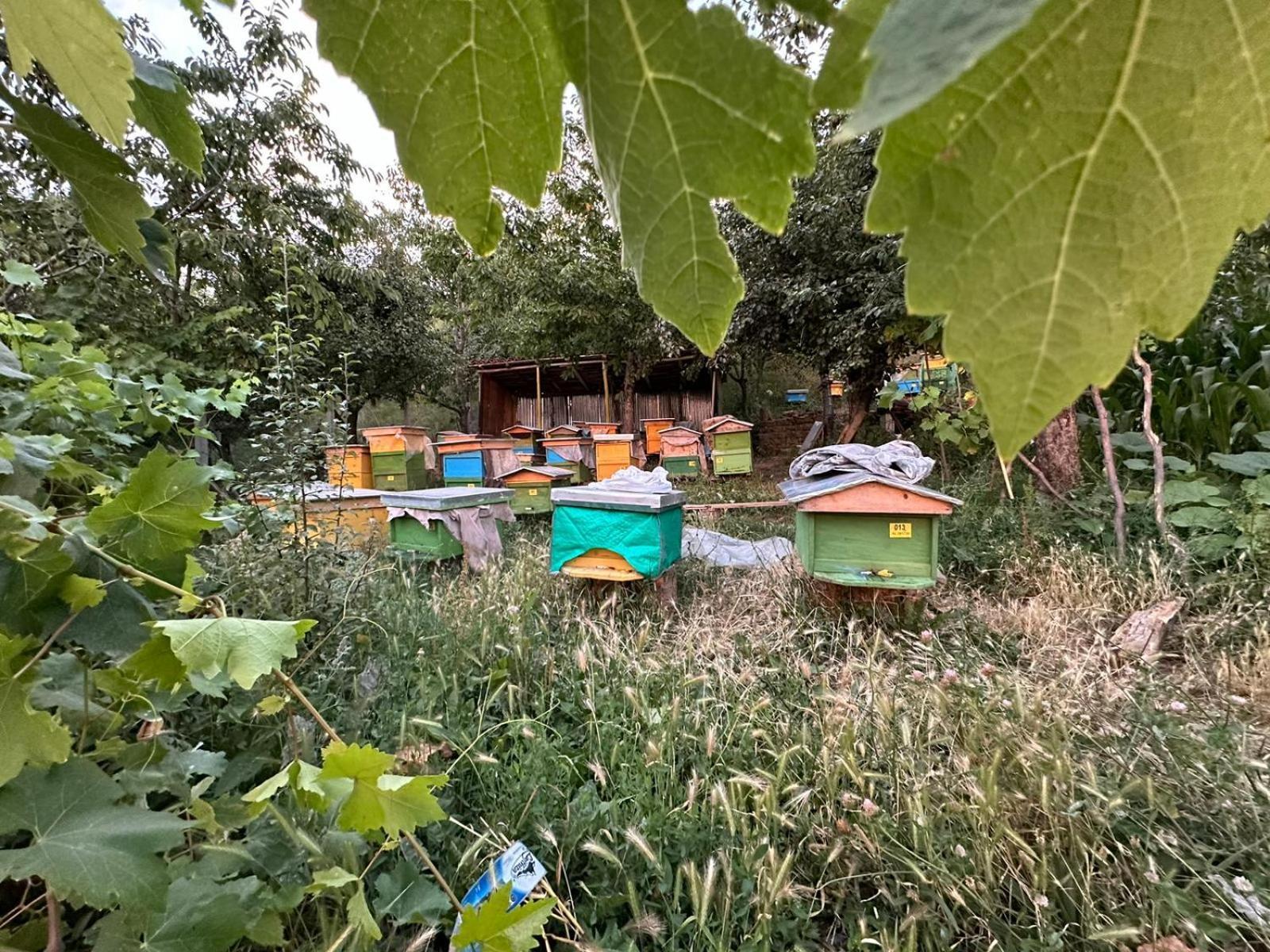 Vila Dervish Cela - Moker * Pogradec